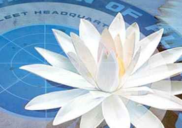 La Triade del Loto Bianco